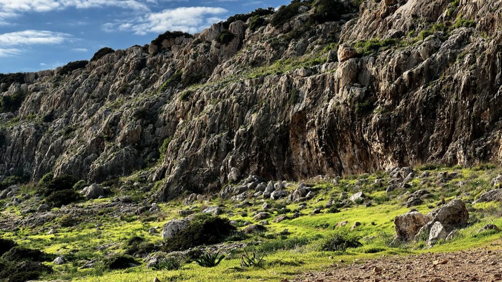 Cape Greco cliffs adorned with vibrant flora, showcasing the peninsula's rich biodiversity.
