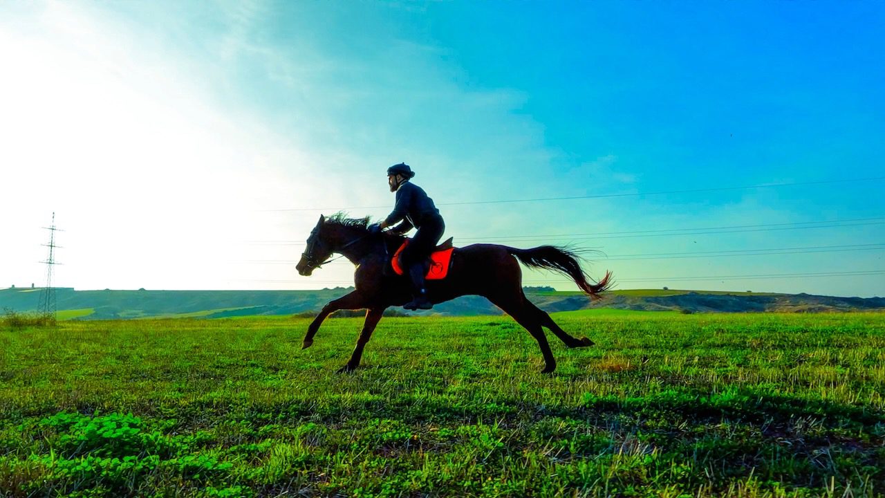 A rider and horse galloping through the vibrant green fields of Cyprus, embodying the spirit of adventure in nature.