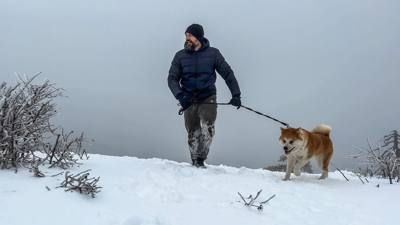 Walking with my Akita, Aimi, through the snowy landscape of Cyprus.