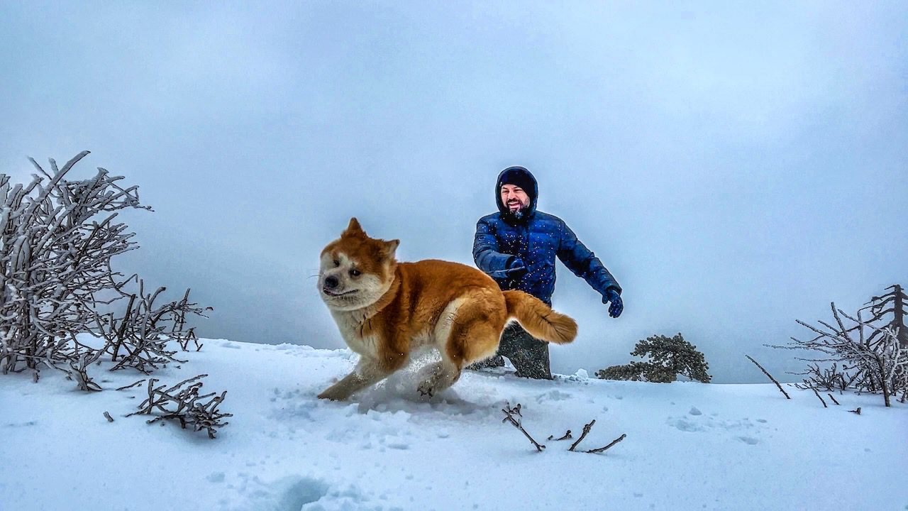 A man and his dog engage in playful antics amid the snowy backdrop of the Troodos, a true mountain experience.