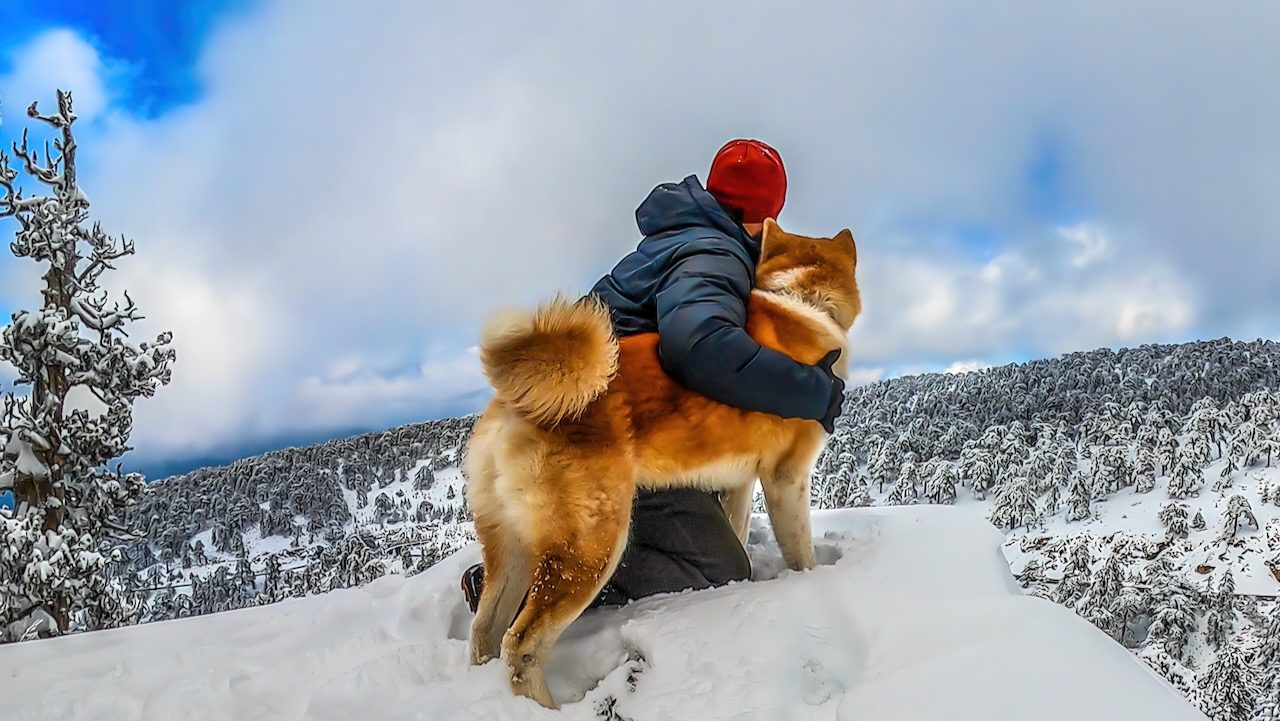 Person embracing a dog while enjoying the snowy landscape of Troodos Mountains in Cyprus.