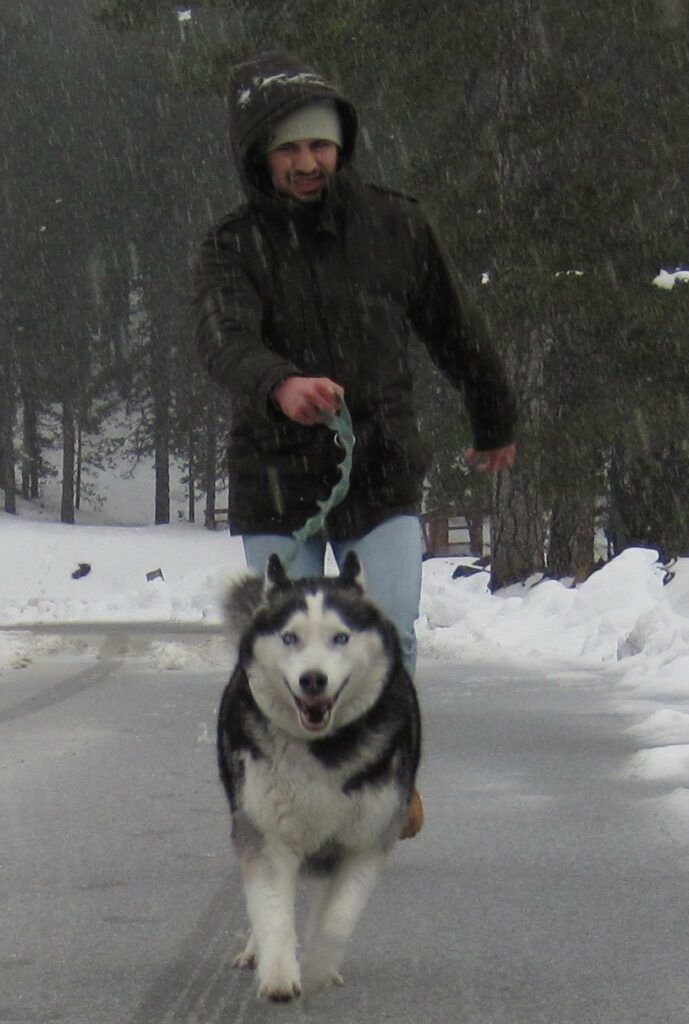 Man in a snow-covered jacket walking with a Siberian Husky on a snowy road in the Troodos Mountains, both looking joyful.