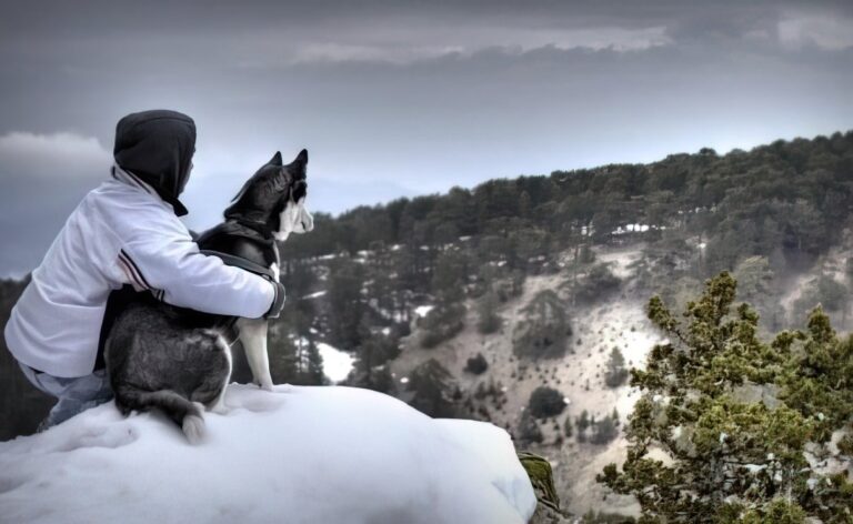 A person in a white jacket embracing a Siberian Husky, both gazing over a snowy mountain landscape in the Troodos Mountains.