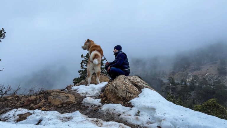 Me and my loyal Akita dog pause to reflect on the rugged beauty of the snow-draped Troodos Mountains.